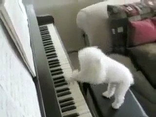 Piyano Böyle Çalınır