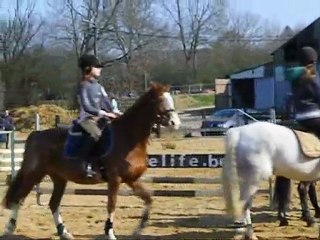 Stage guillaume 16 avril 2010