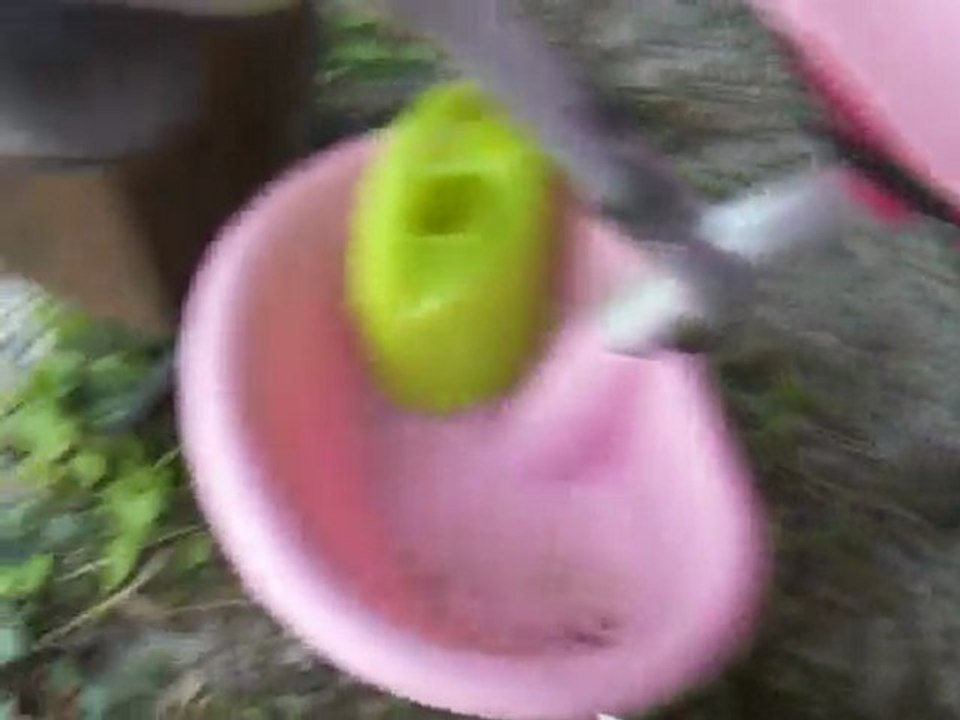 13 mois, Mlle sait ce qu'elle veut!