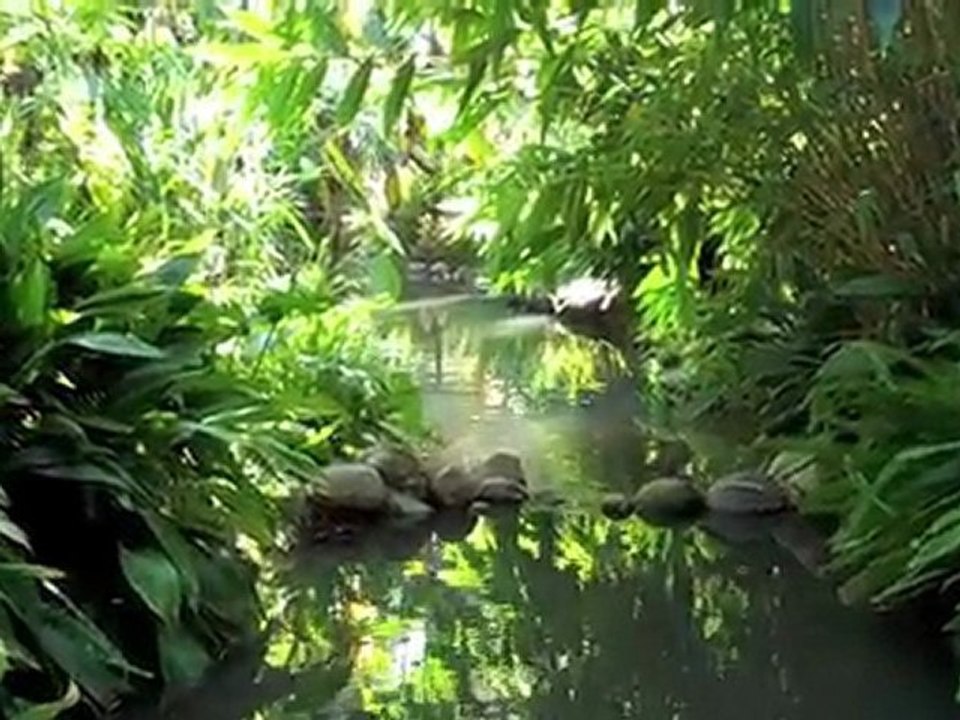 UCLA Botanical Garden