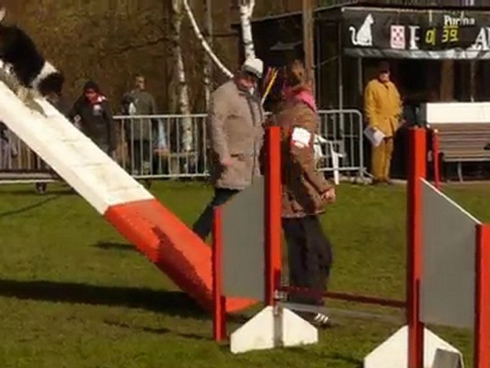 Vixie agility open montigny 11/04/2010