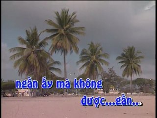 Ly Chim Quyen - Chi tam,Huong lan