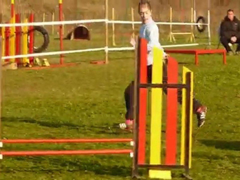 Vixie agility open jarny 04/04/2010