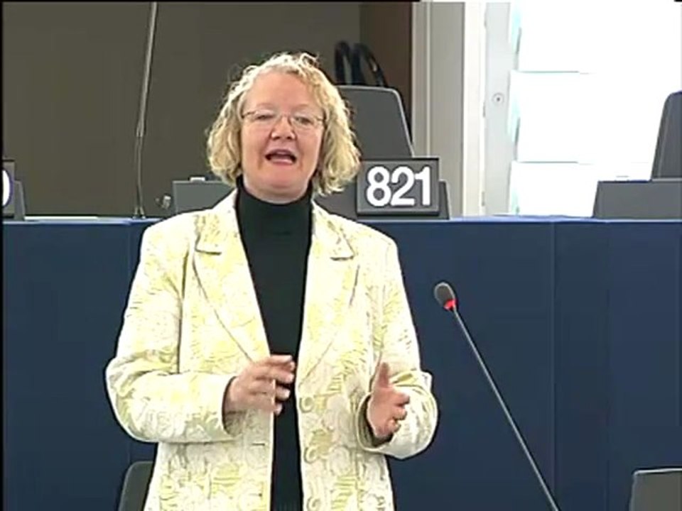 Gesine Meissner on Air safety: EU airline blacklist