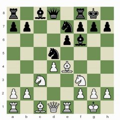 Chess.com - The Evaluation of a Position I; Karpov - Anand