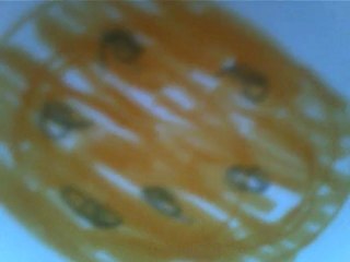 The Great Women of Science are Supreme Artists.