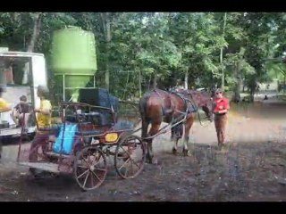 18.04.10 Journée de l'attelage :préparation et départ