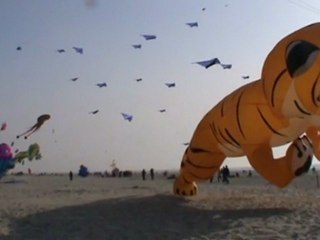 Bande-Annonce des 24èmes RICV de Berck 2010