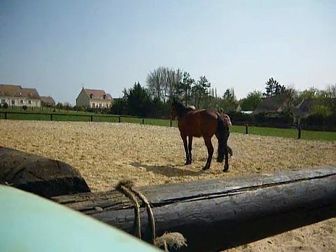 19 avril 2010 - Travail en longe