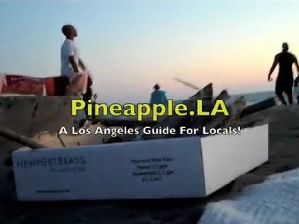 Dockweiler State Beach, El Segundo, CA