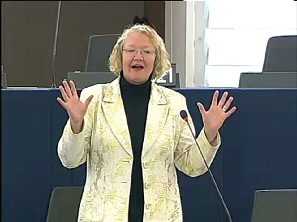 Gesine Meissner on EU’s maritime transport policy