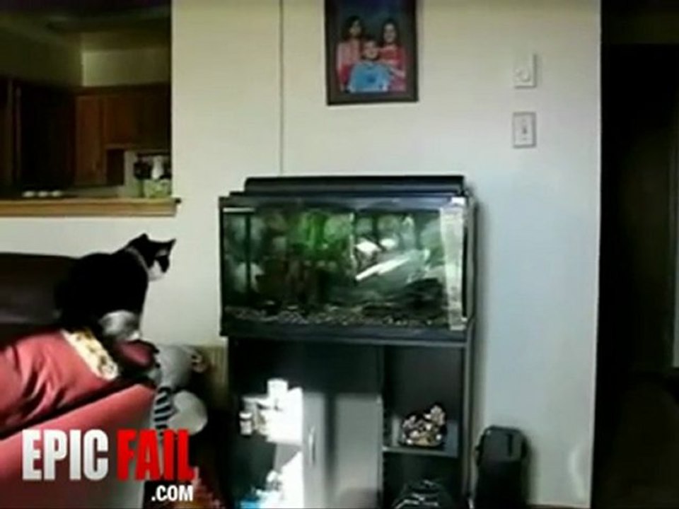 Hunt Fail