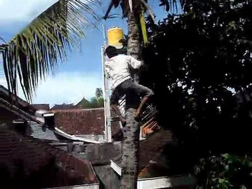 DESCENTE COCOTIER BALI