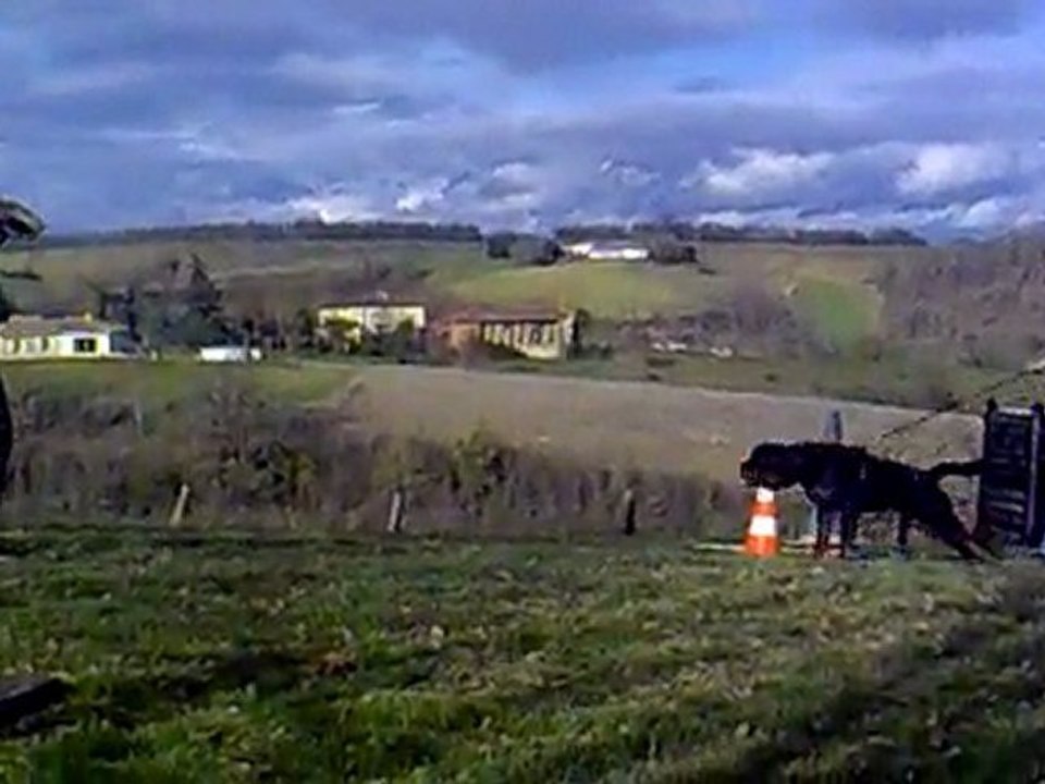 nicolas riou entrainement rci