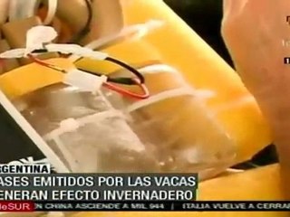 el ganado bovino es responsable del 35% de las emisiones tot