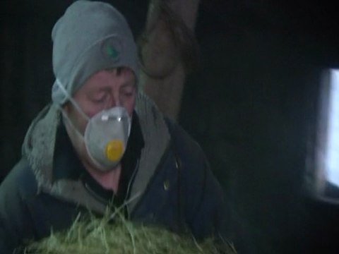 L'éruption du volcan Eyjafjöll continue, moins de cendres émises