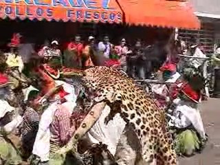 Traditional Pocho Dances, Tabasco, Mexico