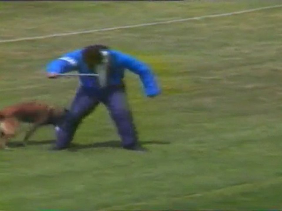 1994 Aurillac finale Ring faces et  fuyantes 4/4