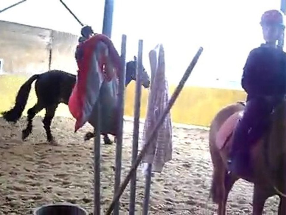galop3