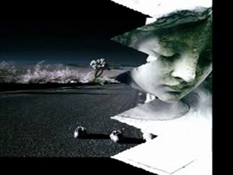 Ragıp Savaş & Janset - Yalnızım dostlarım