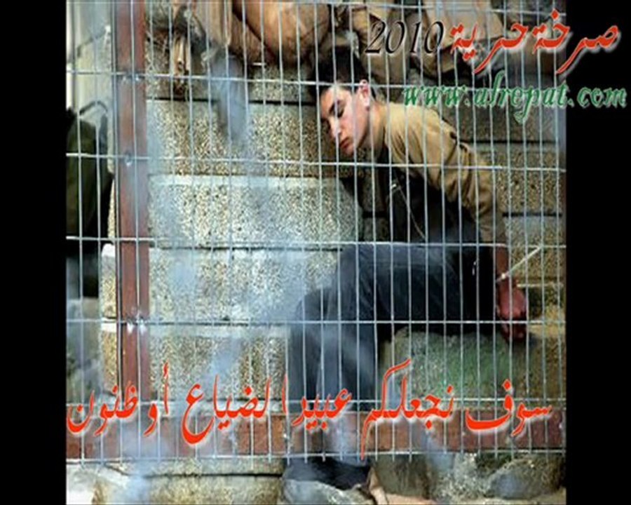 صرخة حرية
