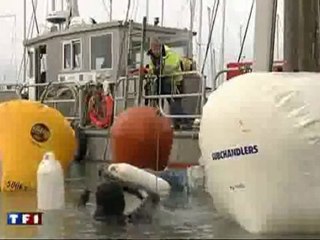 Tempète Xynthia à la Rochelle