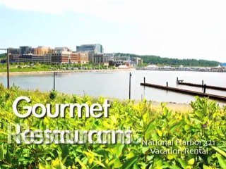 Vacation Rentals USA | Luxury Beach Summer Condo | Kim Comed