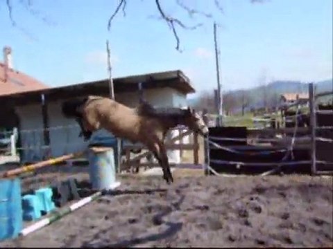 Tempête: travail en liberté