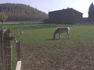 17 éme jour de vie de spirit