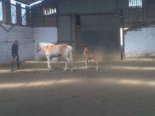 17 éme jour sortie du matin