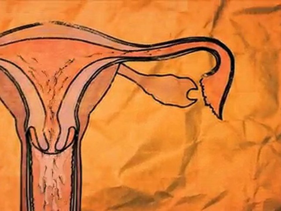 Early 2010 Post Production Reel