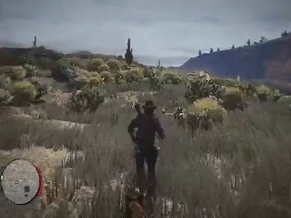Red Dead Redemption Gameplay