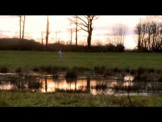 SEPas Forrest Gump