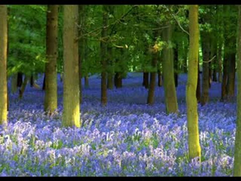 ilahivideolar,ilahi, canmedinem.net,ilahiler,Turan Turgut