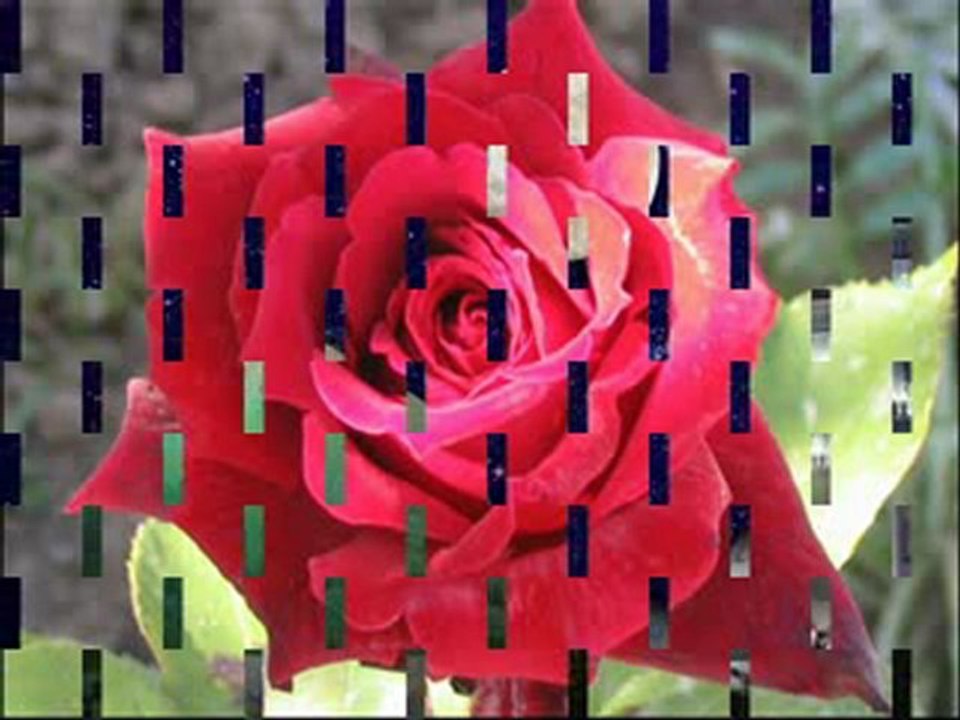 ilahivideolar,ilahi,www.canmedinem.net,ilahile Mehmet Gökçe