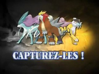 Pokémon Or Heart Gold & Argent Soul Silver PUBS FR