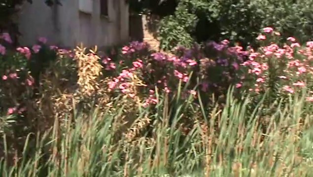 Uncalı Park Ve Doğal Yaşam Sistemi Antalya Uncalı Parks