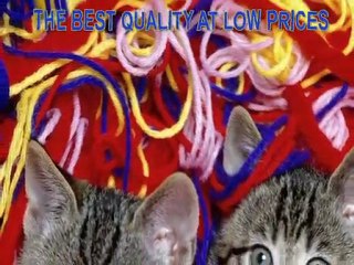 Pet Pet Supplies Online Superstore