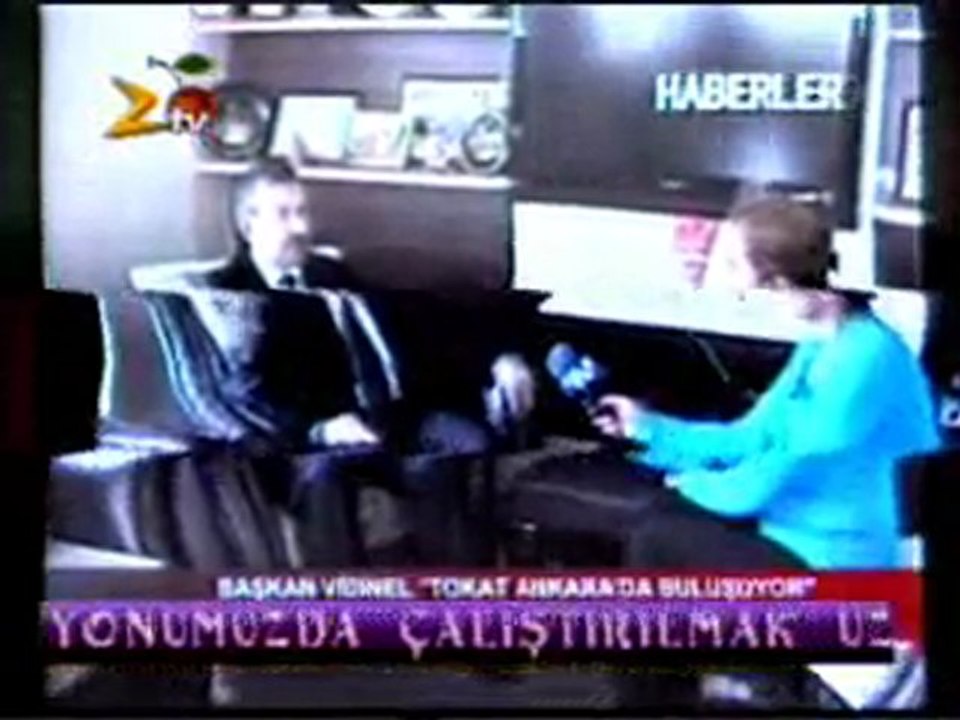 vidinel