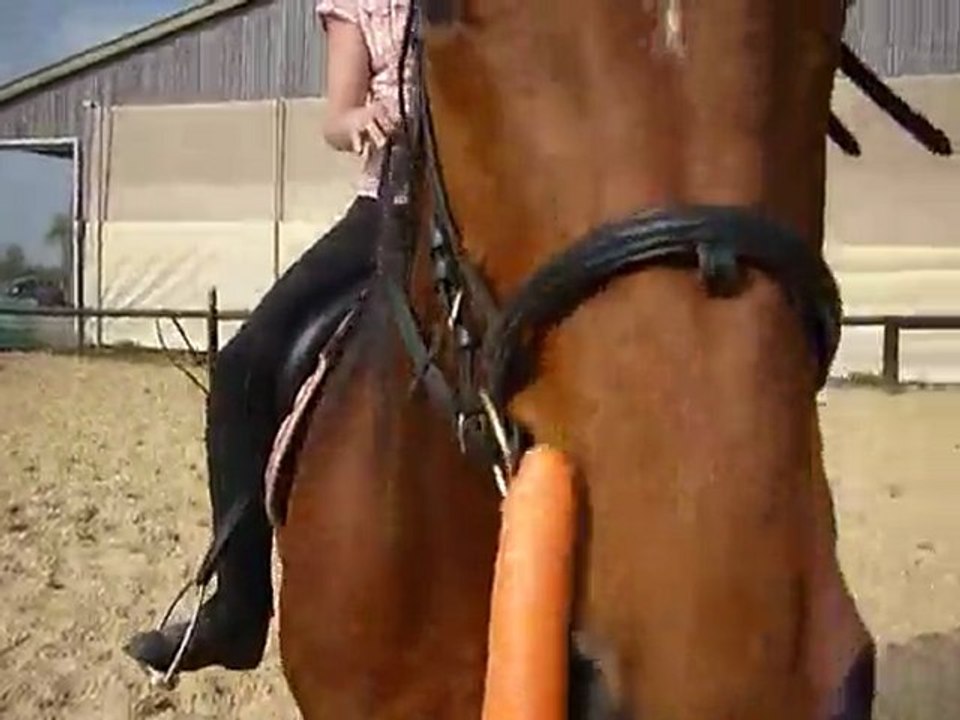 20 avril 2010 - galop