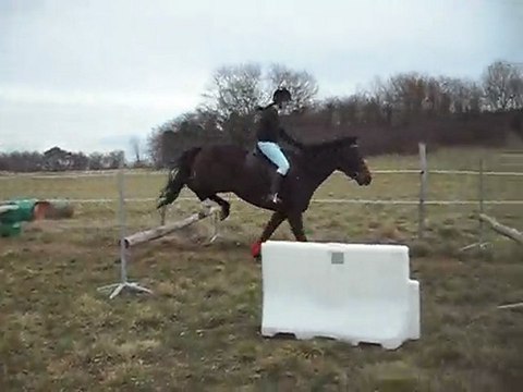 Jade saut de puce 2010