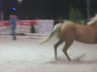 salon du cheval 2009