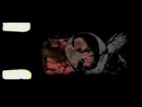 le soleil noir productions : virgin sound official