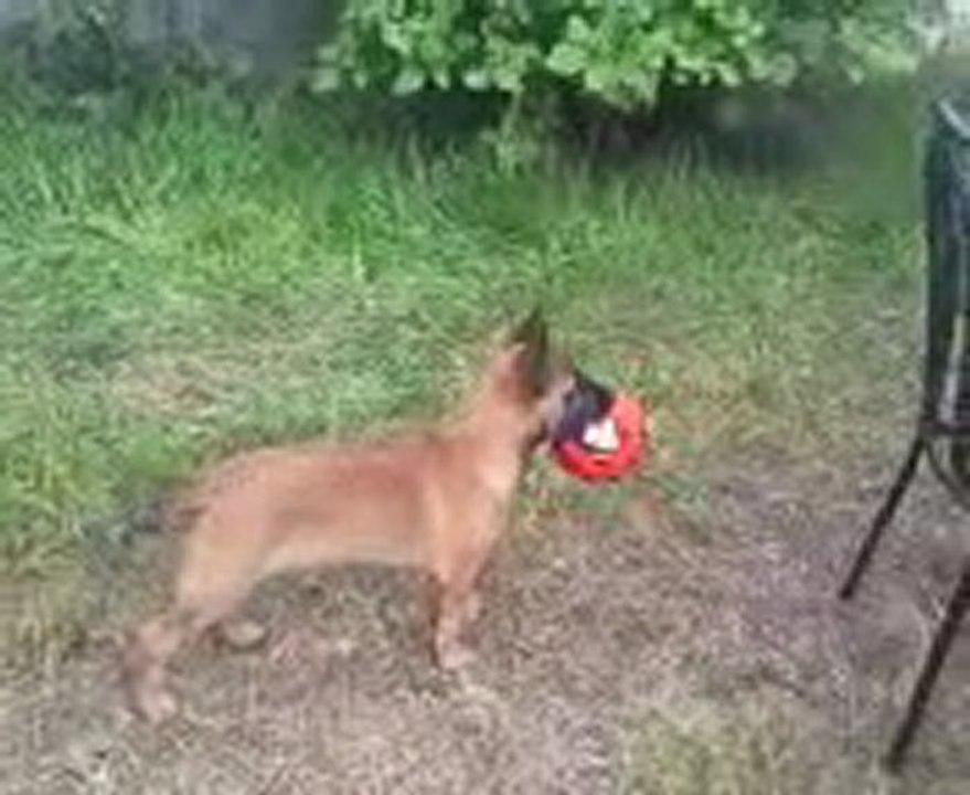 voici Fadgy chez ses nouveaux Maitres