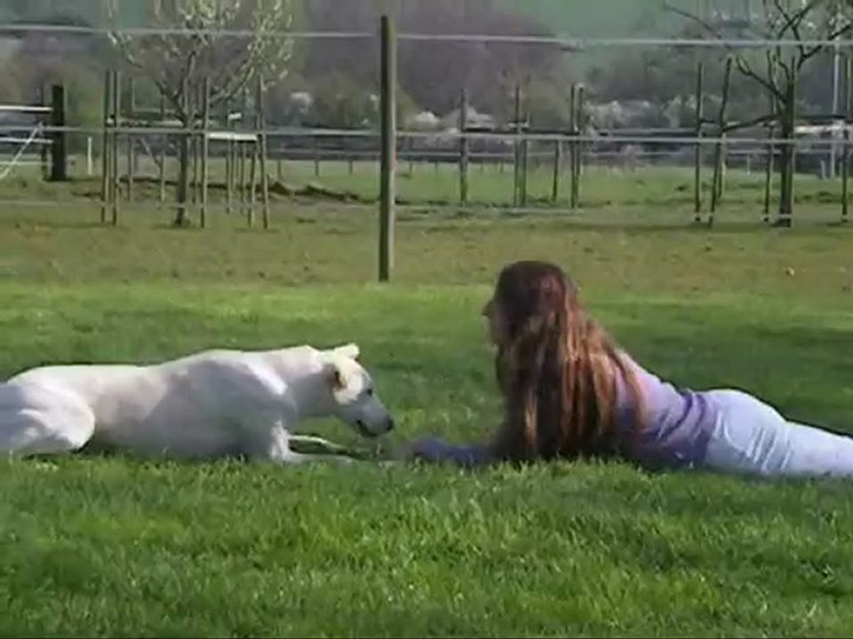 roule, rampe + frisbee