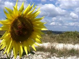 Sur le Chemin (2) de St Jacques de Compostelle.