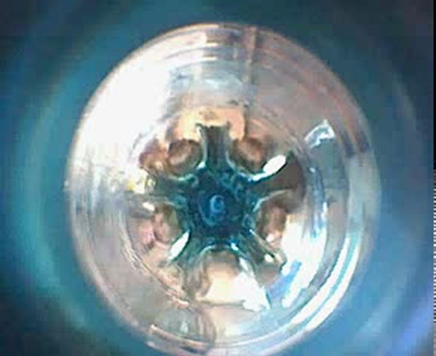 Wassermänneckenschläufchen