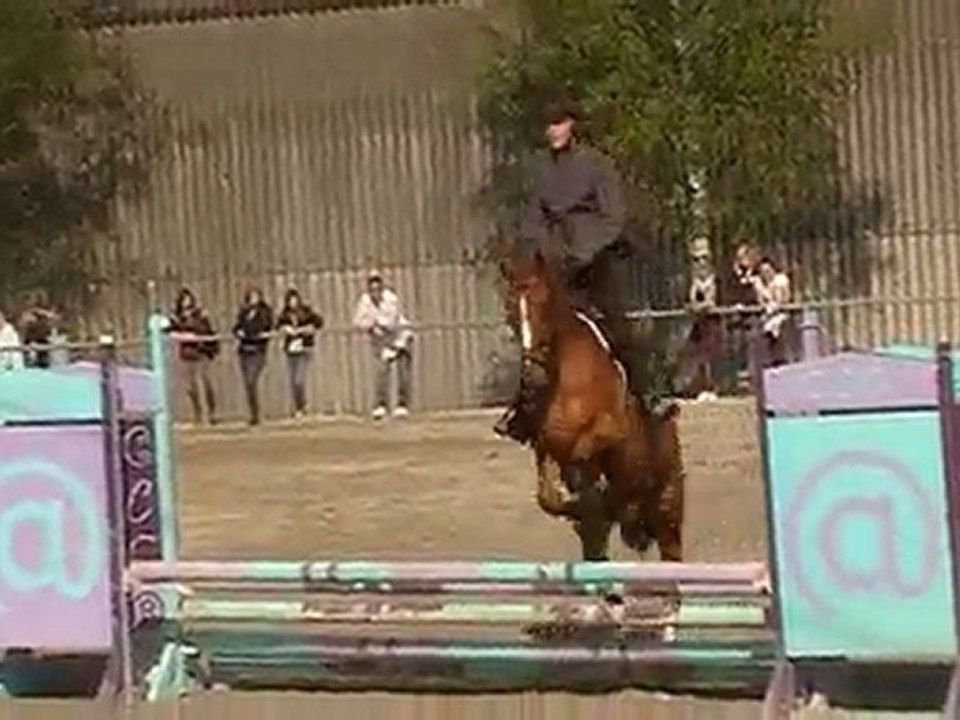 Koeking Delphine et Star à Manom le 18/04/2010