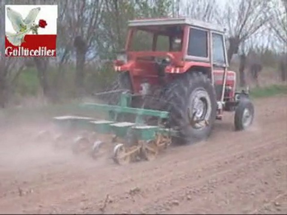 pancar_ekimi_2010_cilgin_yahya