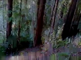 forever lost partII 011109